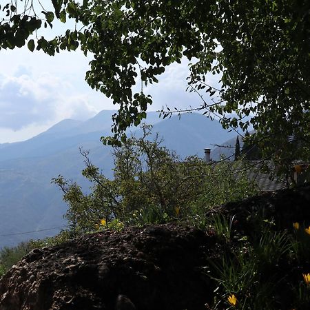 Μικρή Ζήρεια Ενοικιαζόμενη Κατοικία Synikia Mesi Trikalon エクステリア 写真