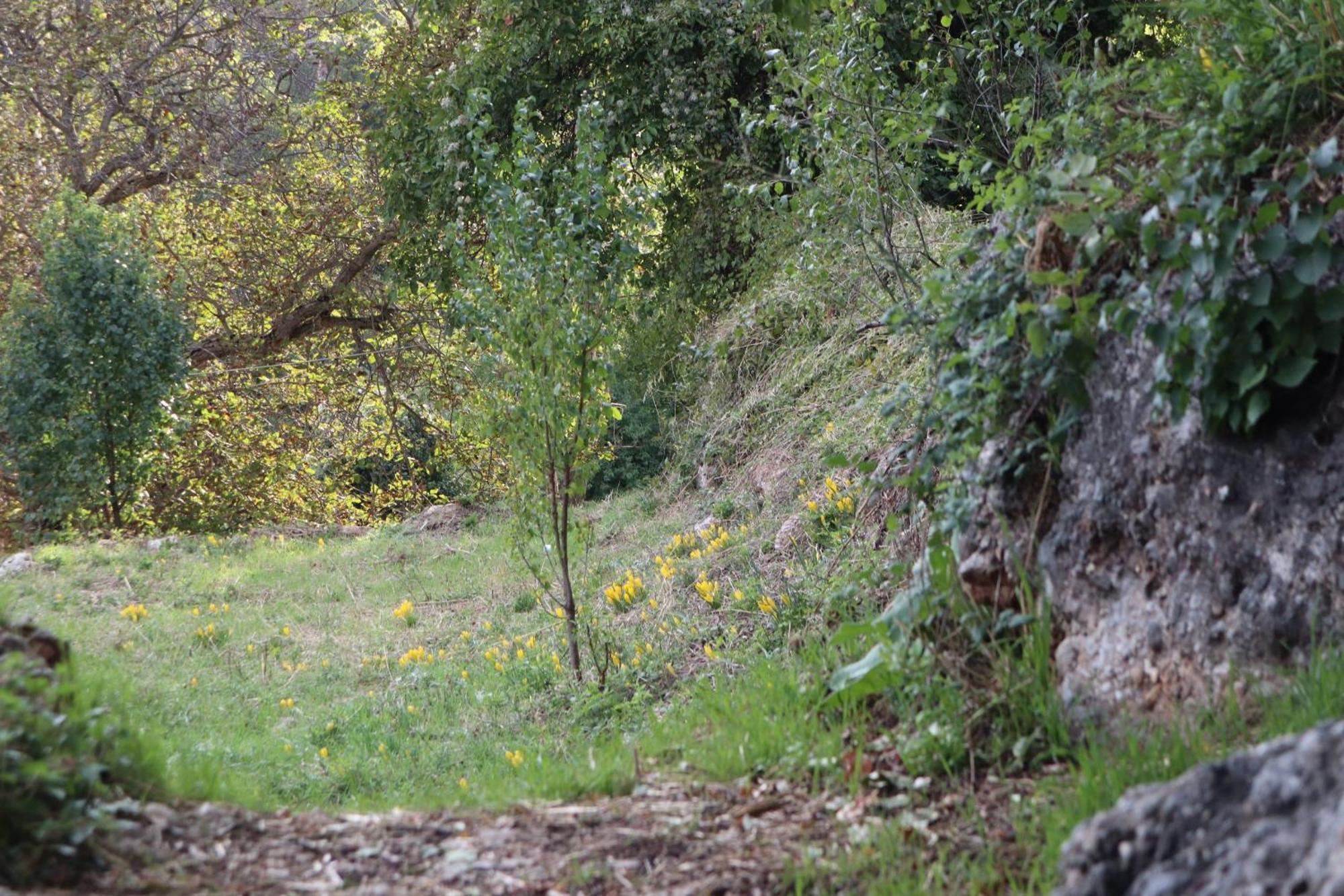 Μικρή Ζήρεια Ενοικιαζόμενη Κατοικία Synikia Mesi Trikalon エクステリア 写真