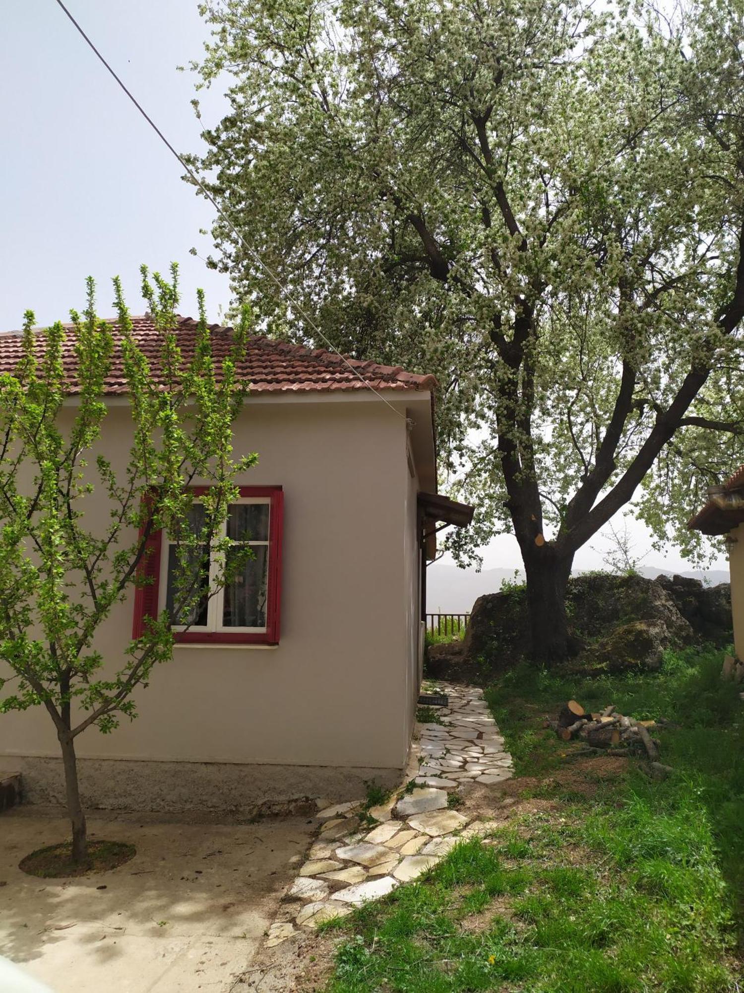Μικρή Ζήρεια Ενοικιαζόμενη Κατοικία Synikia Mesi Trikalon エクステリア 写真